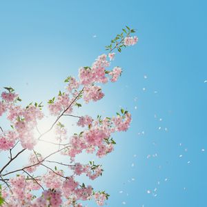 被三个男人捏奶头着玩弄视频
